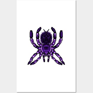 Tarantula Pixel Art 15 Posters and Art